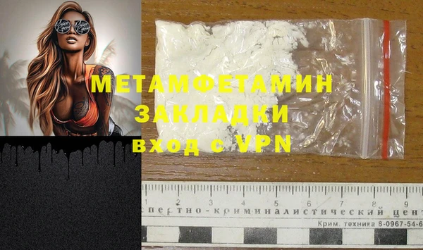 шишки Сатка