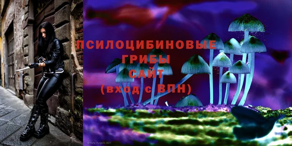 СК Баксан