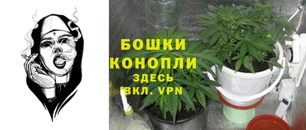 круглые Аркадак