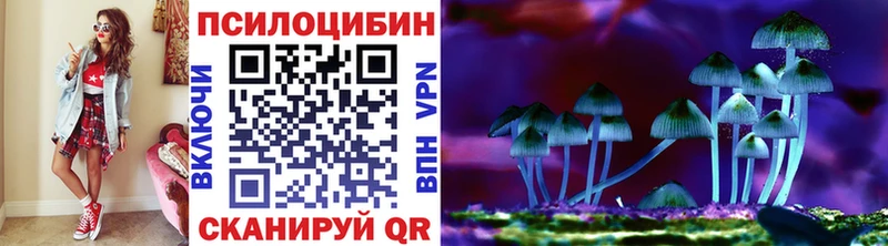 блэк спрут онион  купить   Чернушка  Псилоцибиновые грибы мицелий 